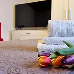 Apartment Stradun In The Heart Of Old City